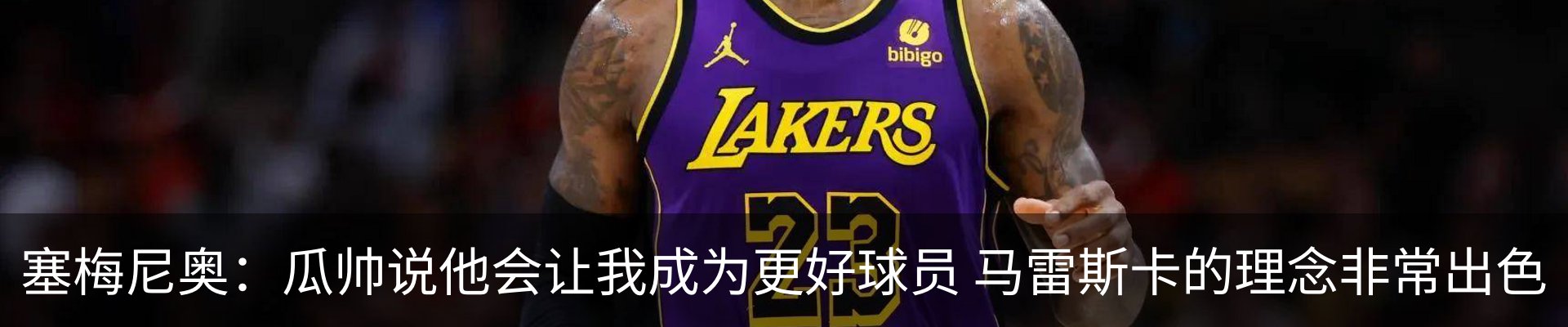 最新动态