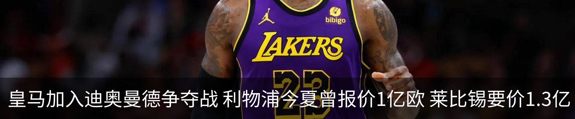 最新动态