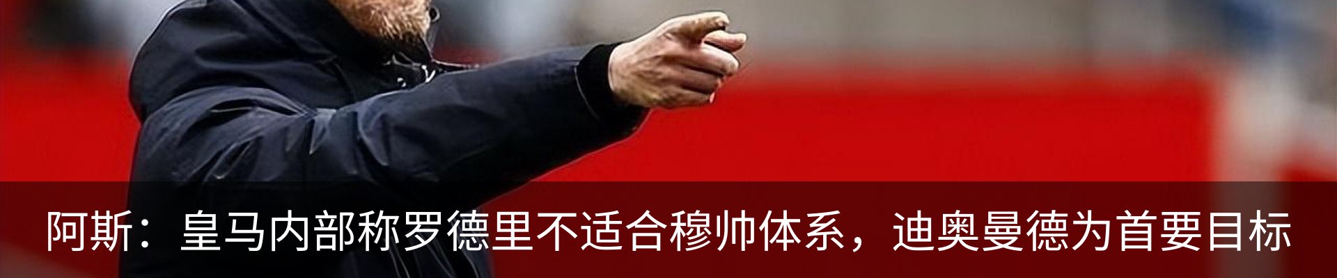 最新动态