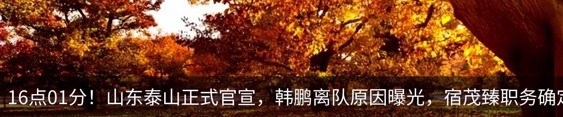 最新动态